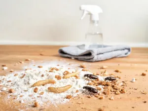 Ogrodzenie domu jednorodzinnego
